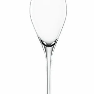 Special Glasses Party Champagne 16 cl 6-p