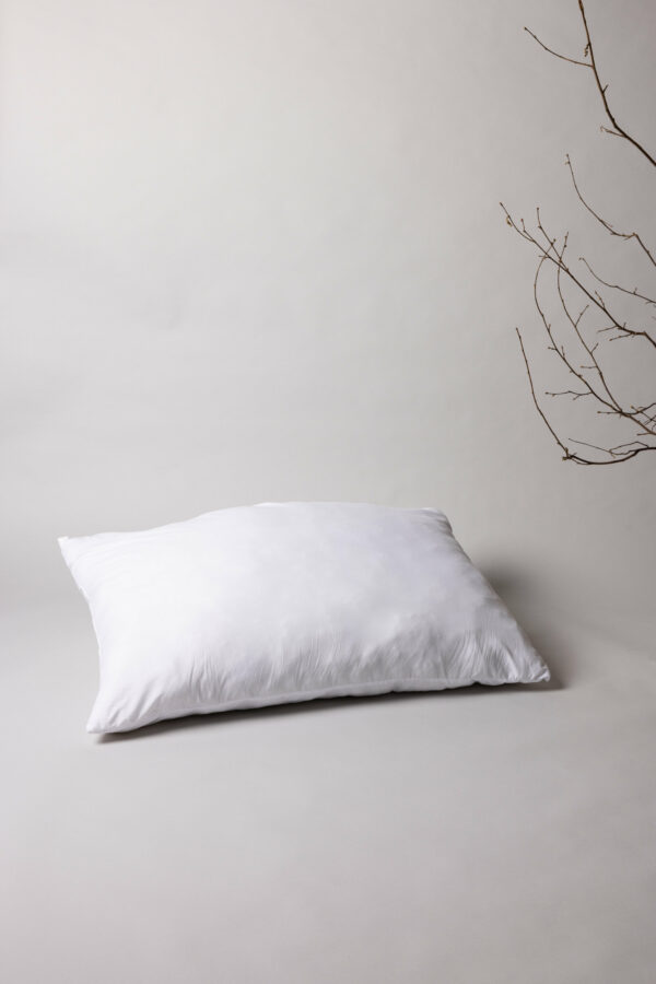 Iris Innerkudde