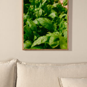 Gree leaf Poster