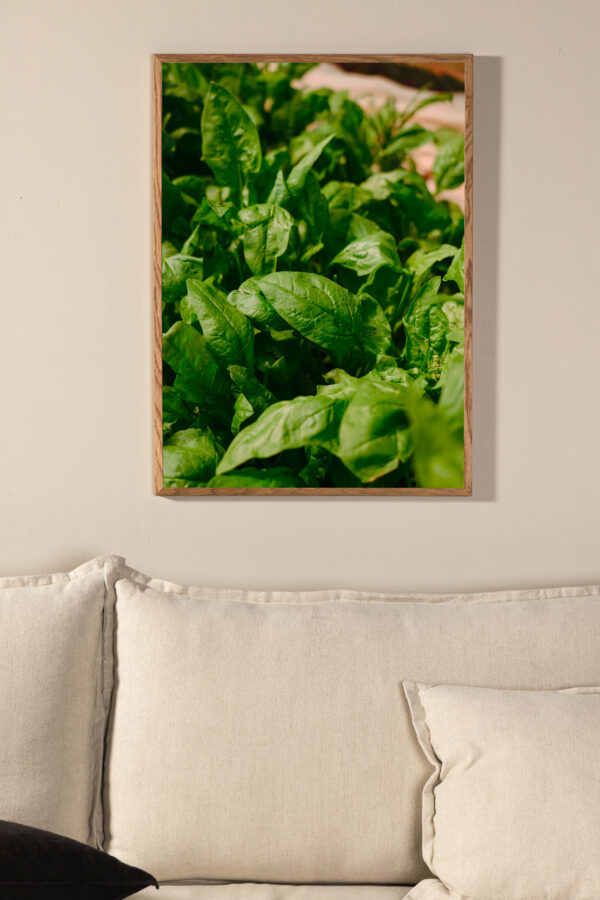 Gree leaf Poster