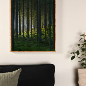 Woods Poster