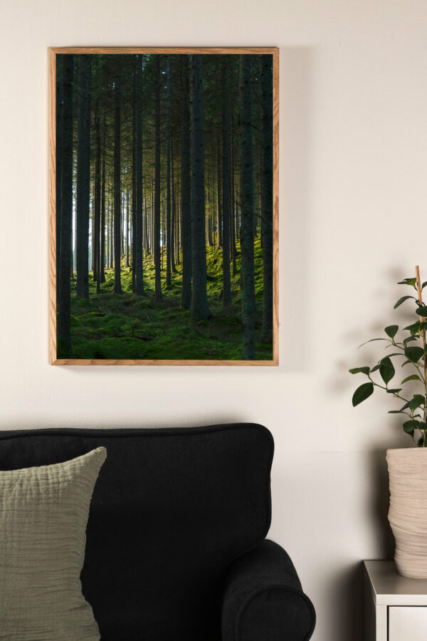 Woods Poster