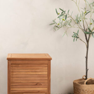 Trento Dynbox