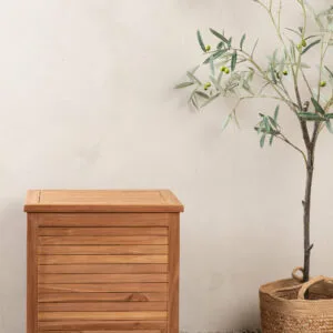 Trento Dynbox
