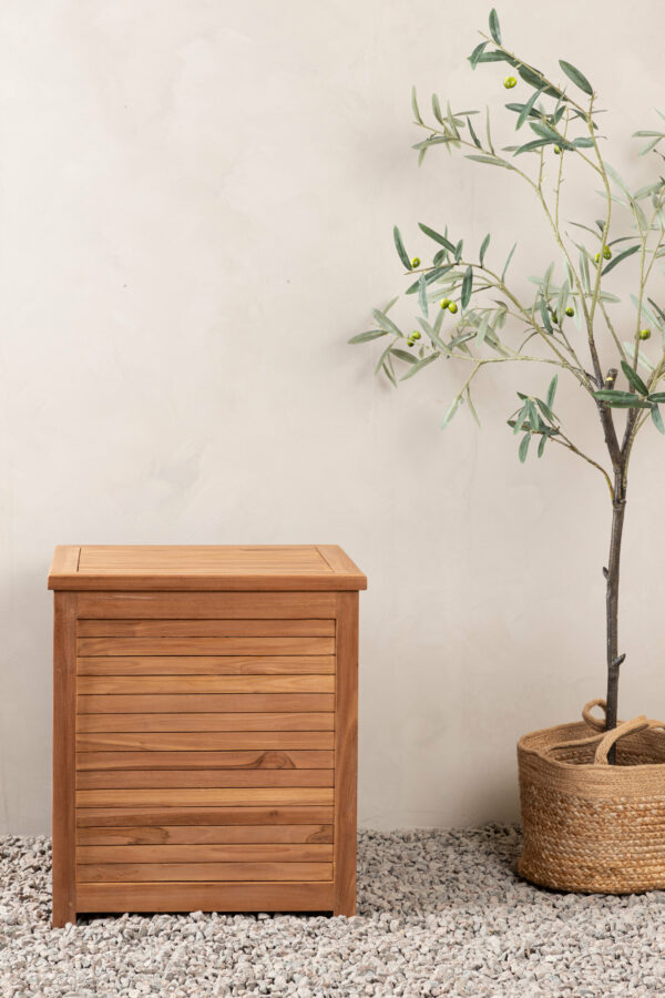 Trento Dynbox