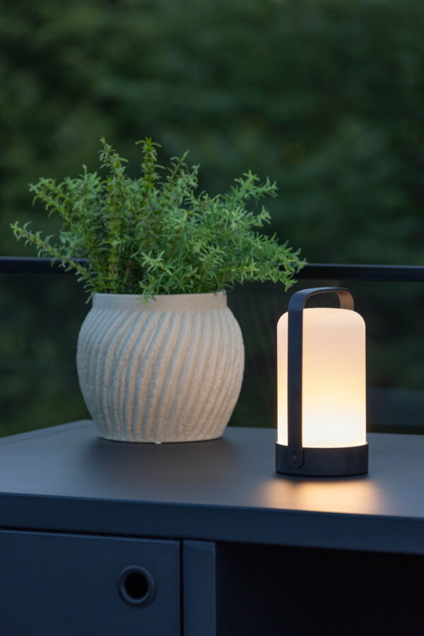 Fern Bordslampa