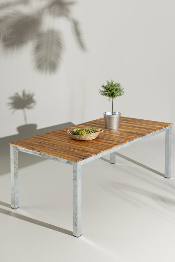 Zenia Bord