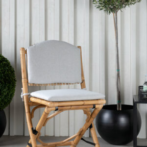 Cane Cafestol
