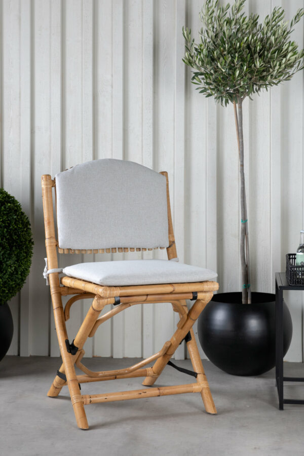 Cane Cafestol