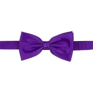 Polyester fluga