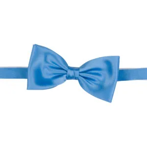 Polyester fluga