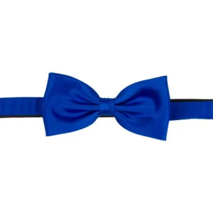 Polyester fluga