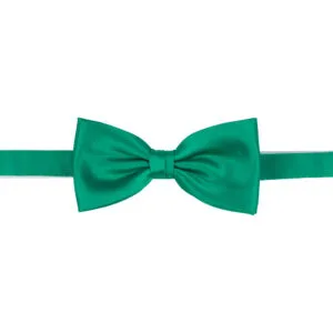 Polyester fluga
