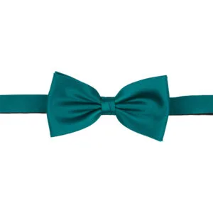 Polyester fluga
