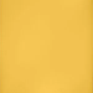 Skärbräda 49,5x35 cm Gul